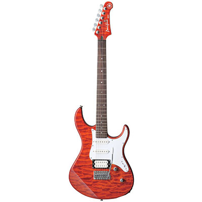 Electric Guitar