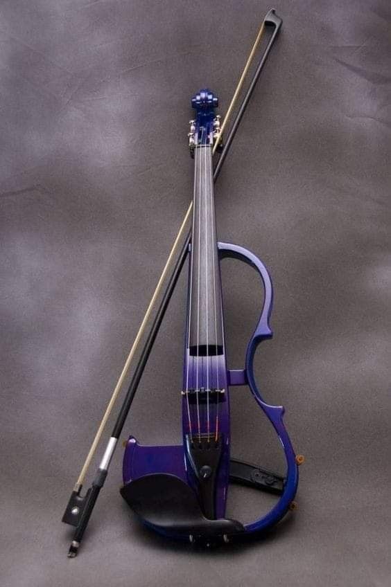 Electric Violin