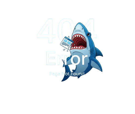 404 error image