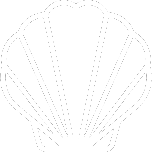 Seashell