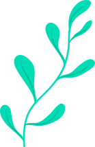 security-feature-shape2